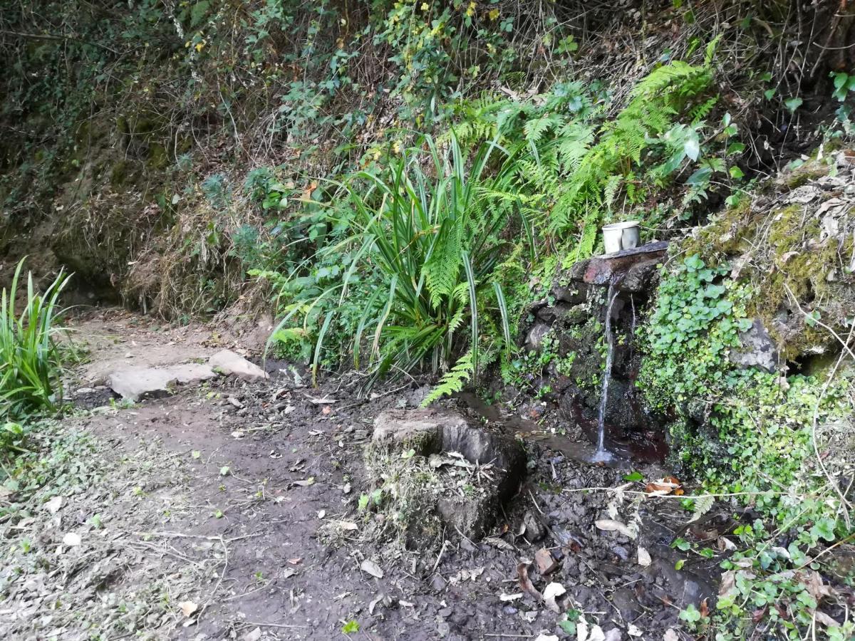 Quinta Da Portelada Peso da Régua Eksteriør bilde