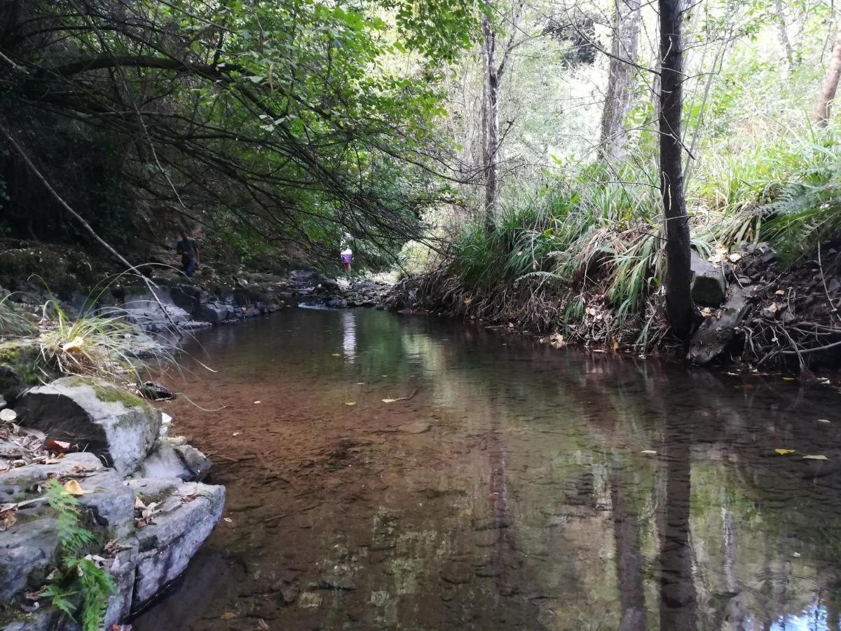 Quinta Da Portelada Peso da Régua Eksteriør bilde