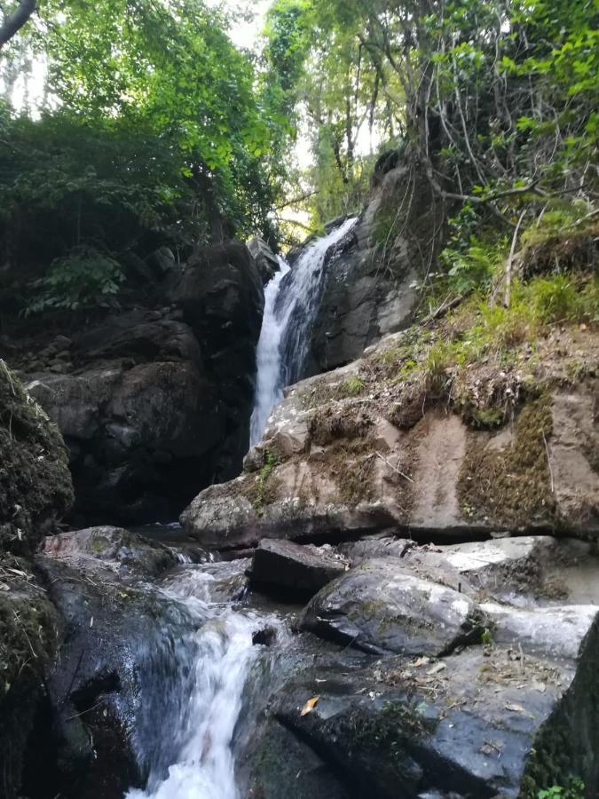 Quinta Da Portelada Peso da Régua Eksteriør bilde