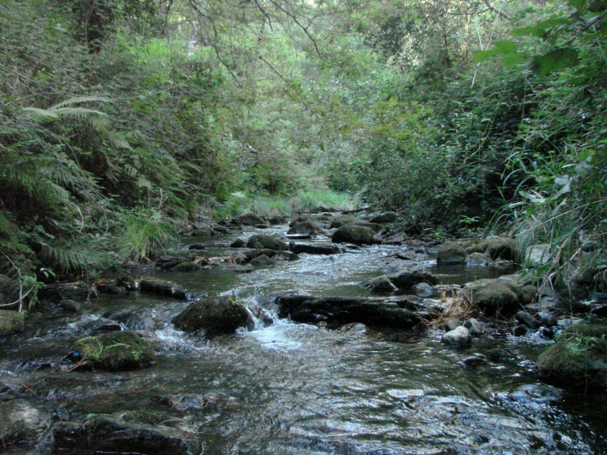 Quinta Da Portelada Peso da Régua Eksteriør bilde