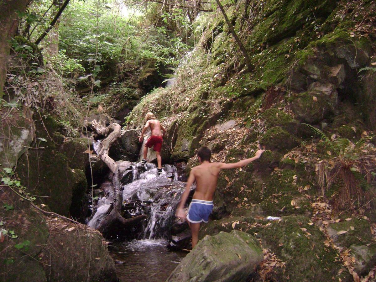 Quinta Da Portelada Peso da Régua Eksteriør bilde
