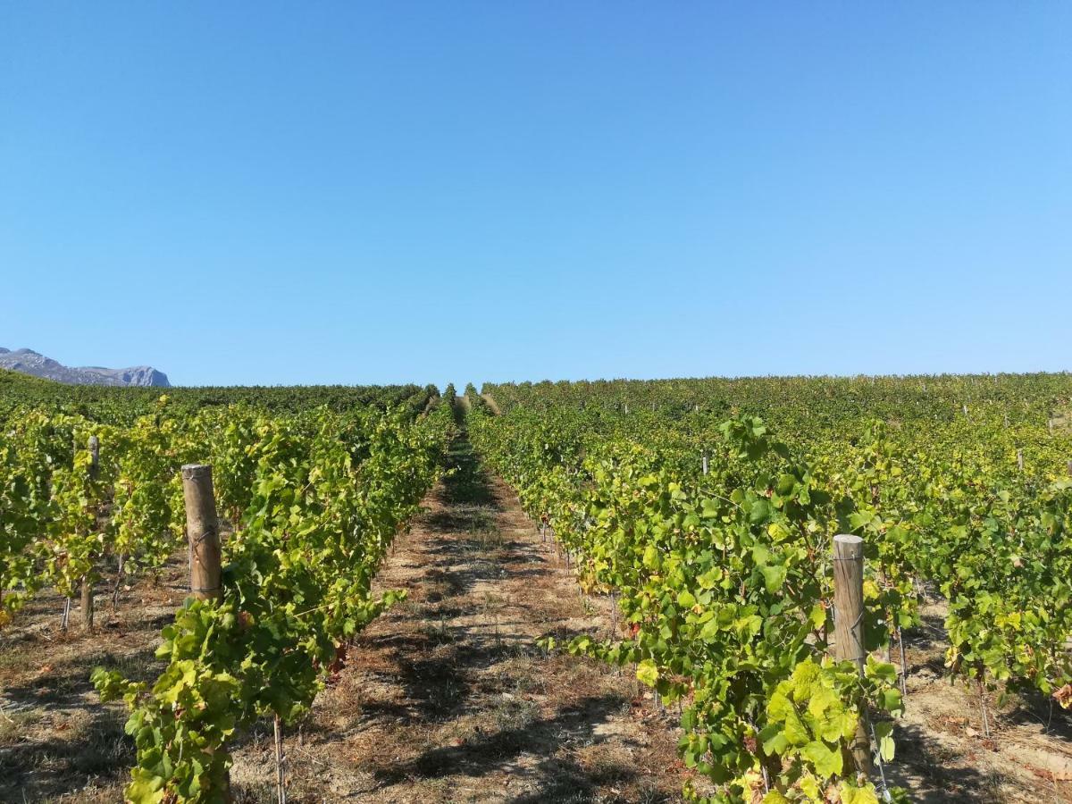 Quinta Da Portelada Peso da Régua Eksteriør bilde